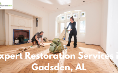 RestorationPro: Your Full-Service Disaster Restoration Company